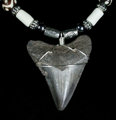 Megalodon Tooth Necklace #5094